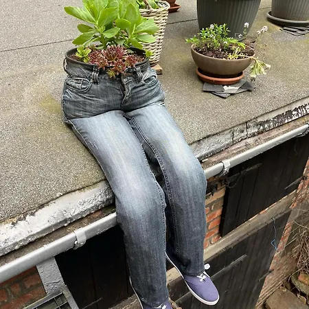 Apartamento Hinter Der Alten Post *